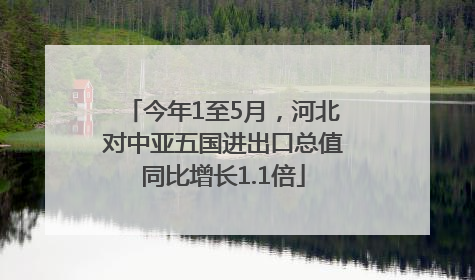 今年1至5月，河北对中亚五国进出口总值同比增长1.1倍