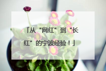 从“网红”到“长红”的宁波经验！