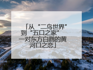 从“二鸟世界”到“五口之家” 一对东方白鹳的黄河口之恋