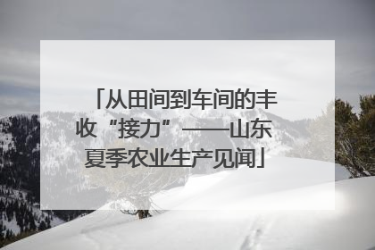 从田间到车间的丰收“接力”——山东夏季农业生产见闻
