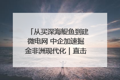 从买深海鳀鱼到建微电网 中企加速掘金非洲现代化｜直击中非经贸博览会