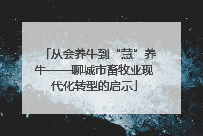 从会养牛到“慧”养牛——聊城市畜牧业现代化转型的启示