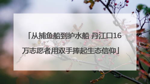 从捕鱼船到护水船 丹江口16万志愿者用双手捧起生态信仰