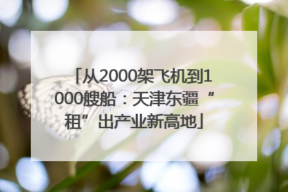 从2000架飞机到1000艘船：天津东疆“租”出产业新高地
