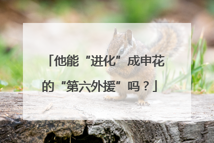 他能“进化”成申花的“第六外援”吗？