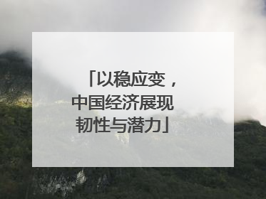 以稳应变，中国经济展现韧性与潜力