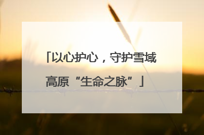 以心护心，守护雪域高原“生命之脉”