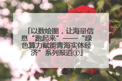 以数绘图，让海量信息“跑起来”——“绿色算力赋能青海实体经济”系列报道①