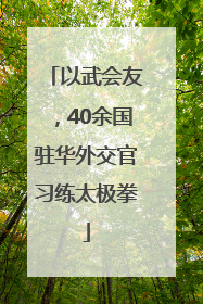 以武会友，40余国驻华外交官习练太极拳