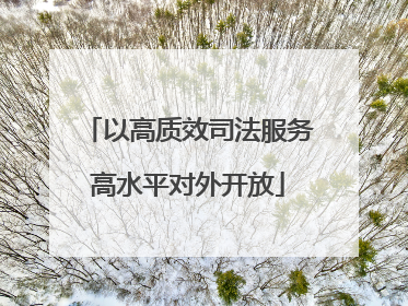 以高质效司法服务高水平对外开放