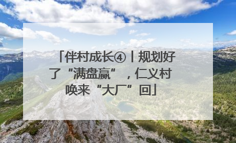 伴村成长④丨规划好了“满盘赢”，仁义村唤来“大厂”回