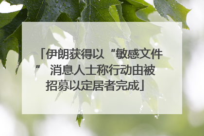 伊朗获得以“敏感文件” 消息人士称行动由被招募以定居者完成