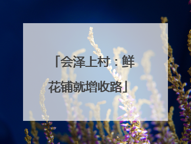会泽上村：鲜花铺就增收路