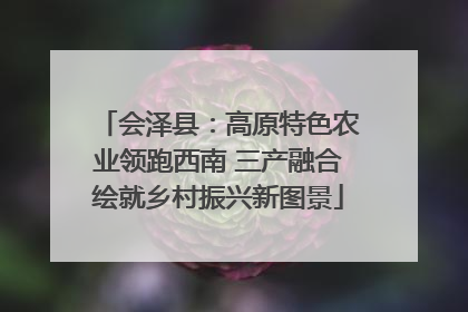 会泽县：高原特色农业领跑西南 三产融合绘就乡村振兴新图景