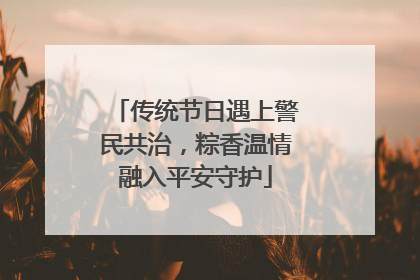 传统节日遇上警民共治，粽香温情融入平安守护