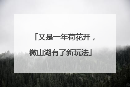 又是一年荷花开，微山湖有了新玩法