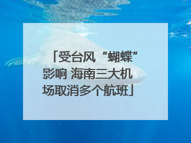 受台风“蝴蝶”影响 海南三大机场取消多个航班