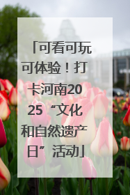 可看可玩可体验！打卡河南2025“文化和自然遗产日”活动