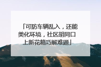 可防车辆乱入，还能美化环境，社区胡同口上新花箱巧解难题