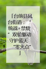 台前县凤台街道：“统战+禁烧”双轮驱动守护蓝天 “零火点”