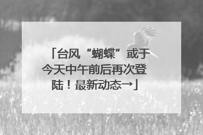 台风“蝴蝶”或于今天中午前后再次登陆！最新动态→