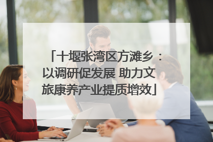 十堰张湾区方滩乡：以调研促发展 助力文旅康养产业提质增效