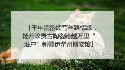 千年瓷韵续写丝路情缘，扬州珍贵古陶瓷跨越万里“落户”新疆伊犁州博物馆