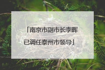 南京市副市长李晖已调任泰州市领导