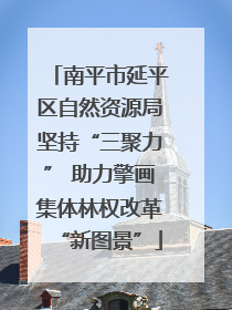 南平市延平区自然资源局坚持“三聚力” 助力擎画集体林权改革“新图景”
