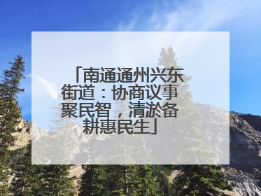 南通通州兴东街道：协商议事聚民智，清淤备耕惠民生
