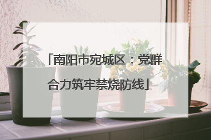 南阳市宛城区：党群合力筑牢禁烧防线