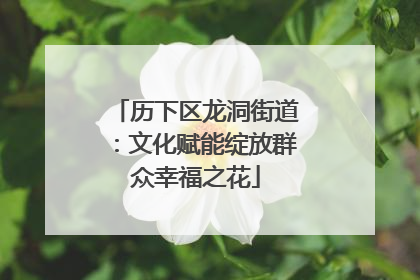 历下区龙洞街道：文化赋能绽放群众幸福之花