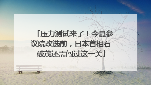 压力测试来了！今夏参议院改选前，日本首相石破茂还需闯过这一关