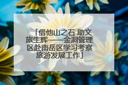 借他山之石 助文旅生辉——金洞管理区赴南岳区学习考察旅游发展工作