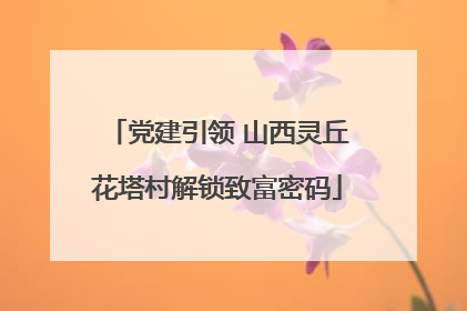 党建引领 山西灵丘花塔村解锁致富密码