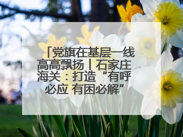 党旗在基层一线高高飘扬丨石家庄海关：打造“有呼必应 有困必解”关企互动新生态