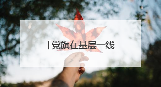 党旗在基层一线高高飘扬丨十年驻守米飘香——驻村第一书记莫日发的乡村印记