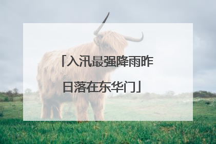 入汛最强降雨昨日落在东华门