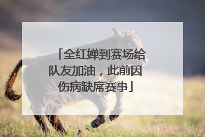 全红婵到赛场给队友加油，此前因伤病缺席赛事