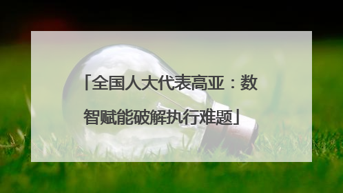 全国人大代表高亚：数智赋能破解执行难题