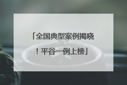 全国典型案例揭晓！平谷一例上榜