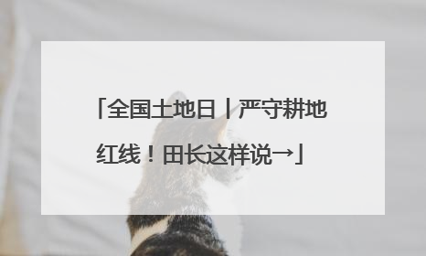 全国土地日丨严守耕地红线！田长这样说→