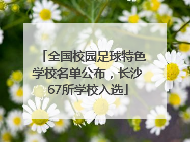 全国校园足球特色学校名单公布，长沙67所学校入选