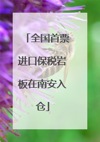 全国首票进口保税岩板在南安入仓