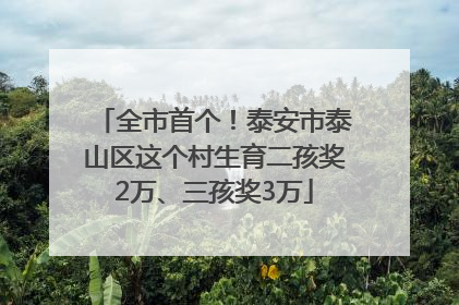 全市首个！泰安市泰山区这个村生育二孩奖2万、三孩奖3万