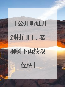 公开听证开到村门口，老柳树下再续叔侄情