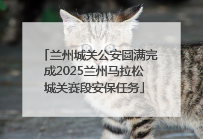 兰州城关公安圆满完成2025兰州马拉松城关赛段安保任务