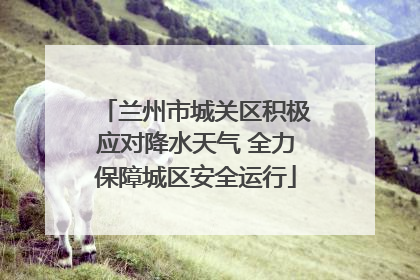 兰州市城关区积极应对降水天气 全力保障城区安全运行