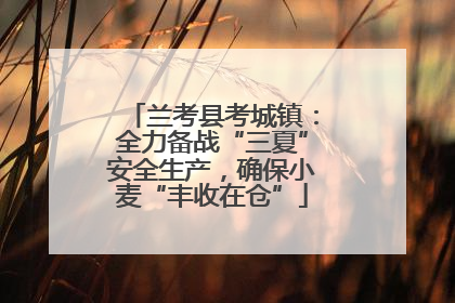 兰考县考城镇：全力备战“三夏”安全生产，确保小麦“丰收在仓”