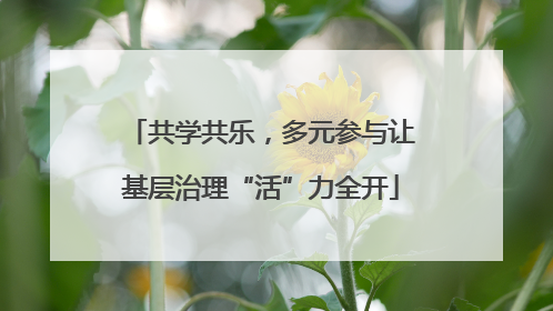 共学共乐，多元参与让基层治理“活”力全开